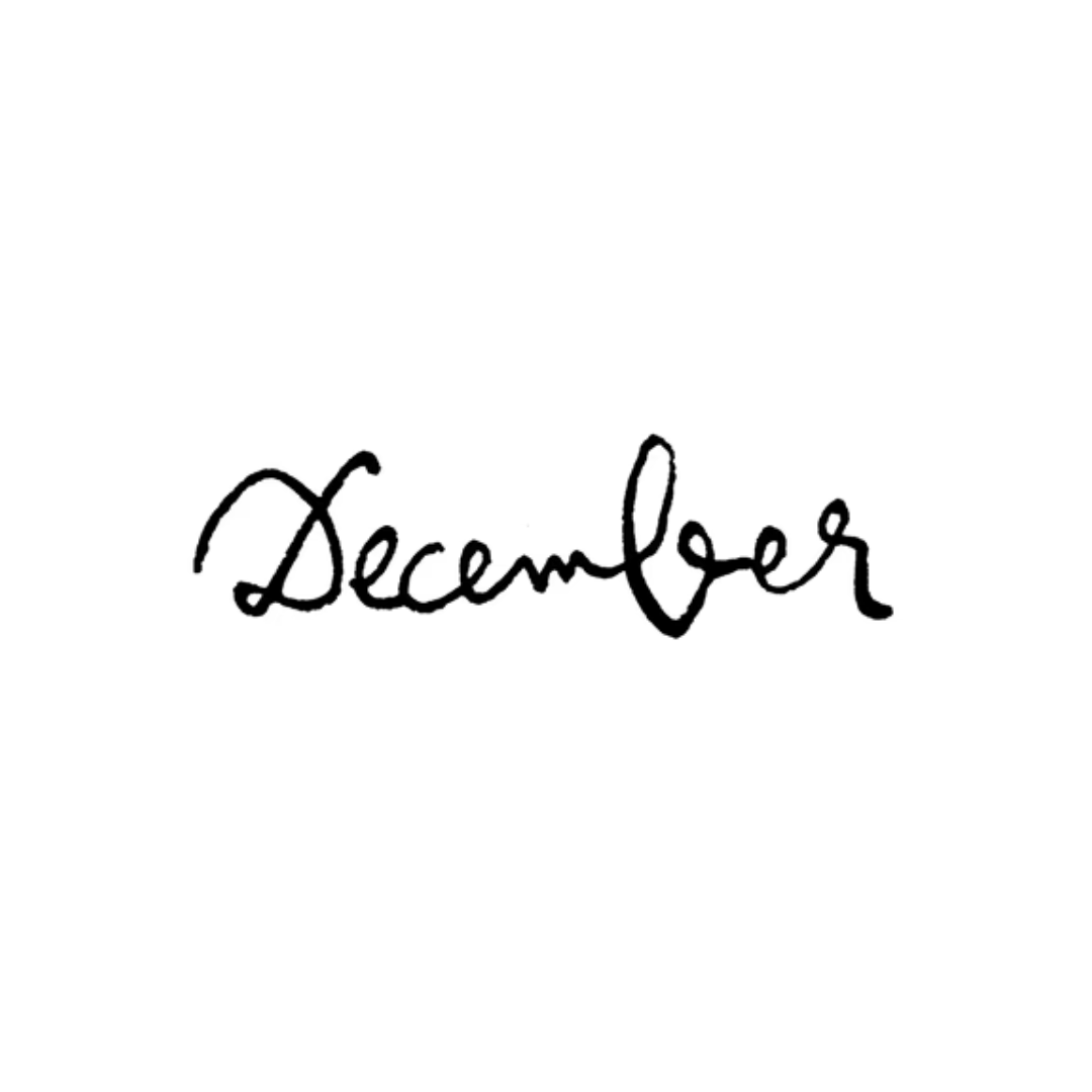 Web Agency a Milano 27 December Fingerboards Logo